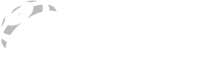 HemiStereo Logo